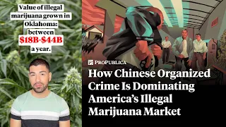 How Chinese Organized Crime Is Dominating America’s Illegal Marijuana Market