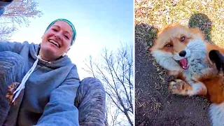 This Sneaky Fox Steals A Woman’s Phone, Runs Away While It’s Still Recording, Tries To Bury It