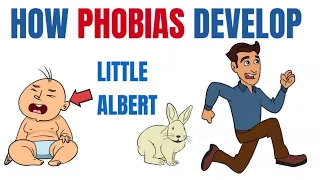 How phobias develop  - What Little Albert taught us