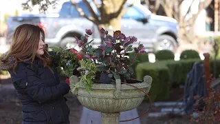 Early Spring Flower Planting! 🌿🌸 // Garden Answer