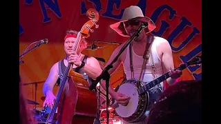 Steve N Seagulls