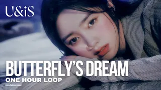 UNIS 유니스 - Butterfly's Dream (1 hour loop)