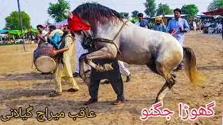 horse dance dhamal 2022| ghora joghno |sahiwal harappa mela sakhi Mahmood langha |19 june (45)