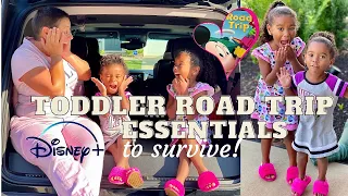 Toddler Road Trip Essentials | Road Trips With Kids | Mom Hacks