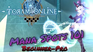 Toram Online - Best spots for Mana farming