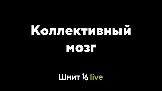 Шмит16 Live. Коллективный мозг