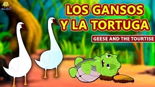 LOS GANSOS Y LA TORTUGA - Cuentos de dormir para niños | Historias Españolas Para Niños | Koo Koo TV