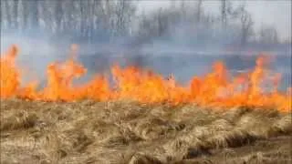 Grosse Isle Prairie Prescribed Burn