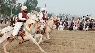 Neza Bazi In Pakistan And India | Horse Riding | Winner of Horse Racing#osmanbey