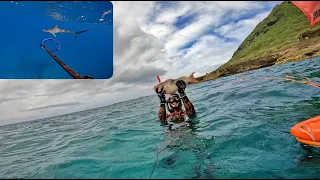 Bradda Jermz First Uhu! / Harrassed by a Shark / Bday Paina / Spearfishing Hawaii VLOG