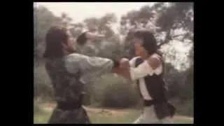 The World of Drunken Master