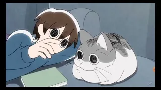 Все серии первого сезона Вечера с котиком #anime