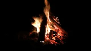 [1시간무한재생] 리얼한 ASMR camping fire 불멍 모닥불소리 심신안정 수면유도 장작타는소리