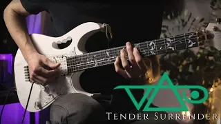 Steve Vai - Tender Surrender - Guitar Cover