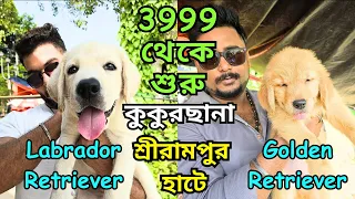 Biggest Pet Market in West Bengal । Serampore Dog Market । Low Price Puppy Sell in Kolkata