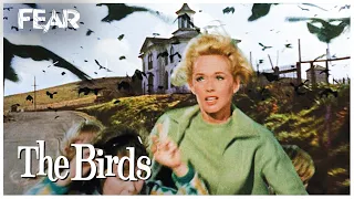 Angry Crows Attack School Children | The Birds (1963)