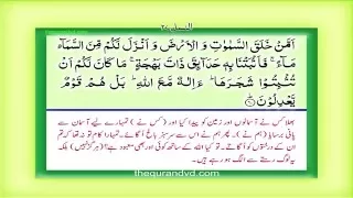 Para 20 Juz 20  Am man khalaq HD Quran Urdu Hindi Translation