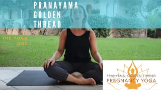 BREATHE: 5 minute pregnancy yoga | pranayama - Golden thread breath | The Yoga Doc
