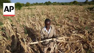 Millions face hunger in southern Africa due to drought