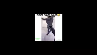 Gülmekten Karın Ağrıtan Videolar