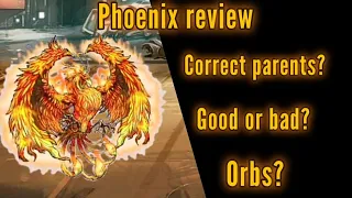 MGG | Phoenix review
