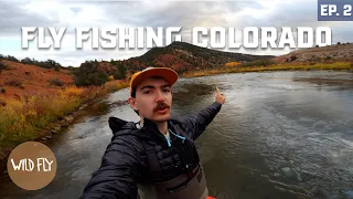 PEAK FALL FLY FISHING THE ROCKIES | Short Bus Diaries | Ep. 2