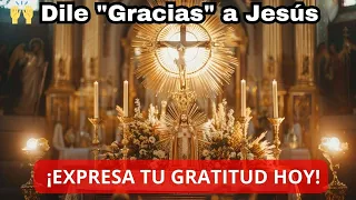 🕊️ Renueva tu Fe: Un Encuentro Sagrado con Jesús 🙌 10 Minutos en el Santisimo