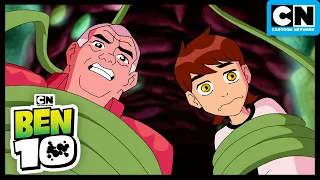 Camp Fear | Ben 10 Classic | Cartoon Network