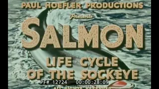 “ SALMON: LIFE CYCLE OF THE SOCKEYE ” 1951 EDUCATIONAL FILM   FRASER RIVER CANADA 12724