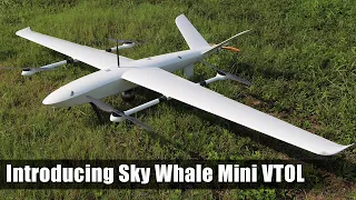 Introducing Sky Whale Mini: over 3 hours endurance electric VTOL