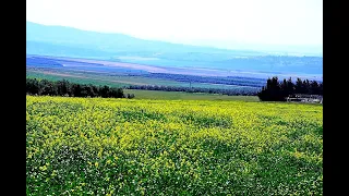 ВЕСНА В ГИВАТ А МОРЭ.МАГАЗИН В ГИВАТ А МОРЭ.АФУЛА.ИЗРАИЛЬ.Spring in Afula.