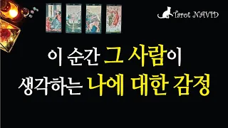 [타로/연애운] 지금 이 순간 그 사람은 나에 대해 어떤 감정일까?💑🌈🍻