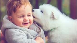 Dogs love and playing with babies | So much interesting video | Dogs loyalty