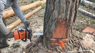 Валка дерева с наклоном Винтовым валочным клином КВМ-1