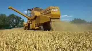 ㋡Żniwa 2016㋡ Sampo Rosenlew Zetor Harvest in Poland