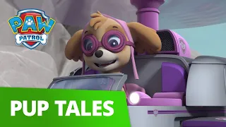 PAW Patrol - Pups Save the Honey - Rescue Episode - PAW Patrol Official & Friends!