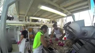 AUSTRALIA PRAWN TRAWLER FISHING 2014