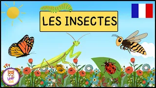 LES NOMS DES INSECTES ET PETITES BÊTES | Apprendre le vocabulaire et les Bruits pour enfants