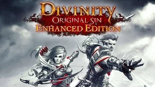 Divinity: Original Sin Enhanced Edition #1