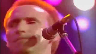 Men At Work -  Who Can It Be Now (Live 1983)