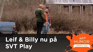 Påkörd räv blir kvällens middag hos Leif och Billy