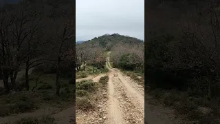 Κυνήγι λαγού, hare hunting in Greece !! Αναστεναζουνε οι λόγγοι στης Βερδικούσσας τις πλαγιές.. (6)