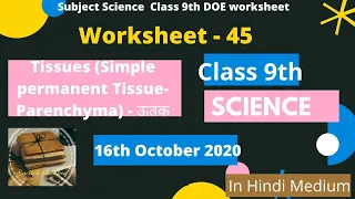 Class 9th DOE Worksheet 45 -(Tissue (Simple permanent Tissue- Parenchyma) , ऊतक) -16th October 2020