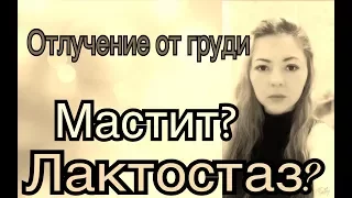 Отлучение от груди/ завершение грудного вскармливания/ мастит, лактостаз??