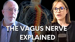 Demystifying the vagus nerve – our body’s internet, super-highway, internal safety monitor