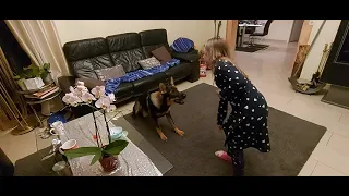 Dog Training.Девочка дрессирует Немецкую Овчарку!