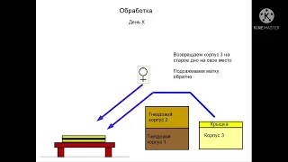 Пчеловодство в Германии. Обработка от клеща варроа путем разделения семьи.