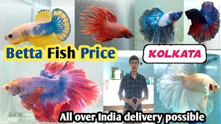 Thailand Imported Betta Fishes Price | Aquarium Fishes price | Betta Fish | westbengal