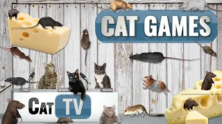 Cat Games | 🐭 Rodent Rendezvous: Mice, Rats, and Hamsters Delight Kitties! | Cat TV