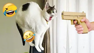 Funniest Animals 2023 😻 Best Funny Cats and Dogs Videos ♥️🐶 #36